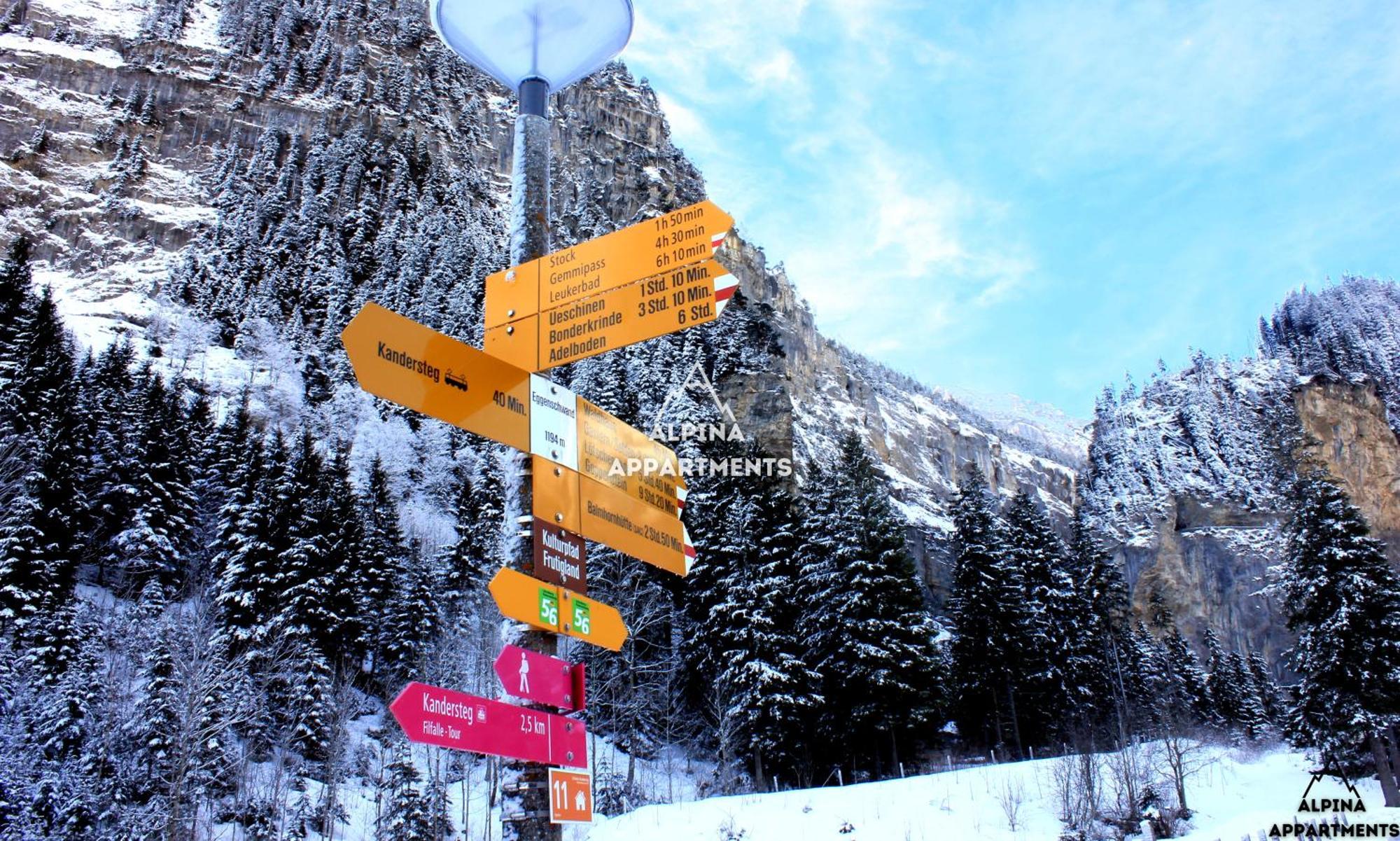 Alpina 2 * Kandersteg
